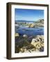 Sandycove, with James Joyce Tower Museum, Dublin, County Dublin, Republic of Ireland, Europe-Jeremy Lightfoot-Framed Photographic Print