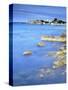 Sandycove, with James Joyce Tower Museum, Dublin, County Dublin, Republic of Ireland, Europe-Jeremy Lightfoot-Stretched Canvas