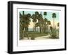 Sanford House Park, Sanford, Florida-null-Framed Art Print