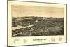 Sanford, Maine - Panoramic Map-Lantern Press-Mounted Art Print