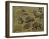 Sangliers couchés et debout, 7 esquisses-Rosa Bonheur-Framed Giclee Print