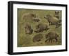 Sangliers couchés et debout, 7 esquisses-Rosa Bonheur-Framed Giclee Print