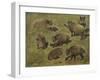 Sangliers couchés et debout, 7 esquisses-Rosa Bonheur-Framed Giclee Print