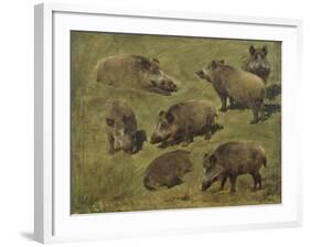 Sangliers couchés et debout, 7 esquisses-Rosa Bonheur-Framed Giclee Print