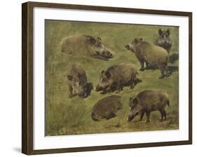 Sangliers couchés et debout, 7 esquisses-Rosa Bonheur-Framed Giclee Print