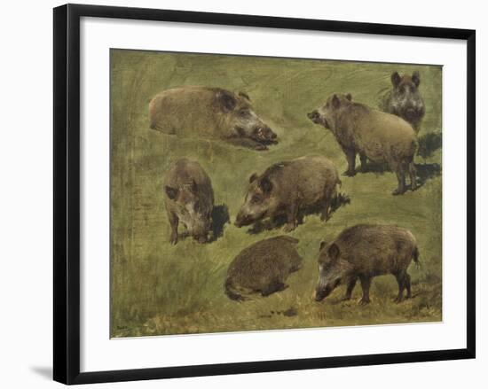 Sangliers couchés et debout, 7 esquisses-Rosa Bonheur-Framed Giclee Print