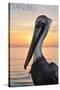 Sanibel, Florida - Pelican-Lantern Press-Stretched Canvas