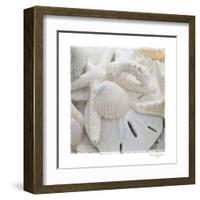 Sanibel III-Susan Jackson-Framed Art Print