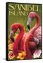 Sanibel Island, Florida - Flamingos-Lantern Press-Framed Stretched Canvas