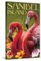 Sanibel Island, Florida - Flamingos-Lantern Press-Stretched Canvas