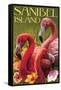 Sanibel Island, Florida - Flamingos-Lantern Press-Framed Stretched Canvas