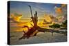 Sanibel Sunrise-Dennis Goodman-Stretched Canvas