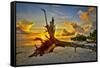 Sanibel Sunrise-Dennis Goodman-Framed Stretched Canvas