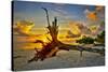 Sanibel Sunrise-Dennis Goodman-Stretched Canvas