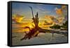 Sanibel Sunrise-Dennis Goodman-Framed Stretched Canvas