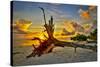 Sanibel Sunrise-Dennis Goodman-Stretched Canvas