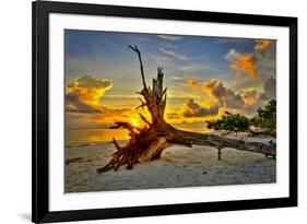 Sanibel Sunrise-Dennis Goodman-Framed Photographic Print