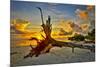 Sanibel Sunrise-Dennis Goodman-Mounted Photographic Print