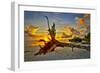 Sanibel Sunrise-Dennis Goodman-Framed Photographic Print