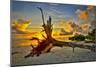 Sanibel Sunrise-Dennis Goodman-Mounted Photographic Print