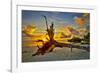 Sanibel Sunrise-Dennis Goodman-Framed Photographic Print