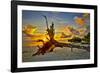 Sanibel Sunrise-Dennis Goodman-Framed Photographic Print