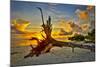 Sanibel Sunrise-Dennis Goodman-Mounted Photographic Print