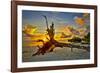 Sanibel Sunrise-Dennis Goodman-Framed Photographic Print