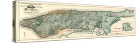 Sanitary and Topographical Map of the City and Island of New York, c.1865-Egbert L^ Viele-Stretched Canvas