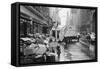 Sanitation Trucks Collecting Garbage-null-Framed Stretched Canvas