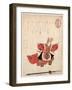 Sanju Hajinraku-Takashima Chiharu-Framed Giclee Print