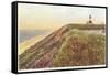 Sankaty Lighthouse, Siasconset, Nantucket, Massachusetts-null-Framed Stretched Canvas