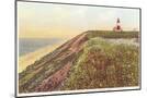 Wood Mount