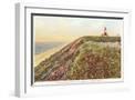 White Frame