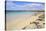 Sanna Beaches, Ardnamurchan Peninsula, Lochaber, Highlands, Scotland, United Kingdom-Gary Cook-Stretched Canvas