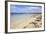 Sanna Beaches, Ardnamurchan Peninsula, Lochaber, Highlands, Scotland, United Kingdom-Gary Cook-Framed Photographic Print