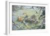 Sans Souci-Daniel Pender Davidson-Framed Giclee Print