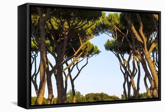 Sant'Alessio Garden, Rome, Italy-Françoise Gaujour-Framed Stretched Canvas