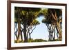 Sant'Alessio Garden, Rome, Italy-Françoise Gaujour-Framed Photographic Print