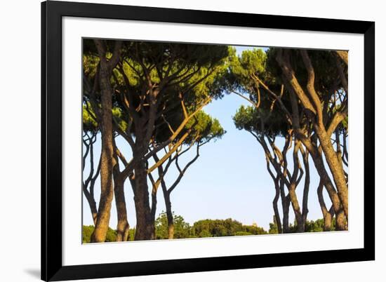 Sant'Alessio Garden, Rome, Italy-Françoise Gaujour-Framed Photographic Print