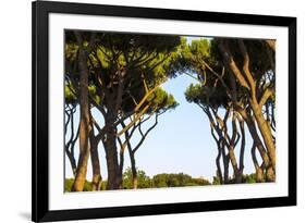 Sant'Alessio Garden, Rome, Italy-Françoise Gaujour-Framed Photographic Print