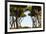 Sant'Alessio Garden, Rome, Italy-Françoise Gaujour-Framed Photographic Print