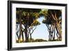 Sant'Alessio Garden, Rome, Italy-Françoise Gaujour-Framed Photographic Print