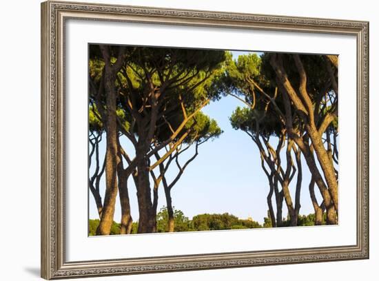 Sant'Alessio Garden, Rome, Italy-Françoise Gaujour-Framed Photographic Print