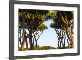 Sant'Alessio Garden, Rome, Italy-Françoise Gaujour-Framed Photographic Print