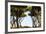 Sant'Alessio Garden, Rome, Italy-Françoise Gaujour-Framed Photographic Print