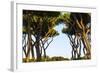 Sant'Alessio Garden, Rome, Italy-Françoise Gaujour-Framed Photographic Print