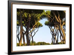 Sant'Alessio Garden, Rome, Italy-Françoise Gaujour-Framed Photographic Print