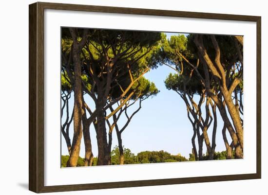 Sant'Alessio Garden, Rome, Italy-Françoise Gaujour-Framed Photographic Print