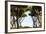 Sant'Alessio Garden, Rome, Italy-Françoise Gaujour-Framed Photographic Print